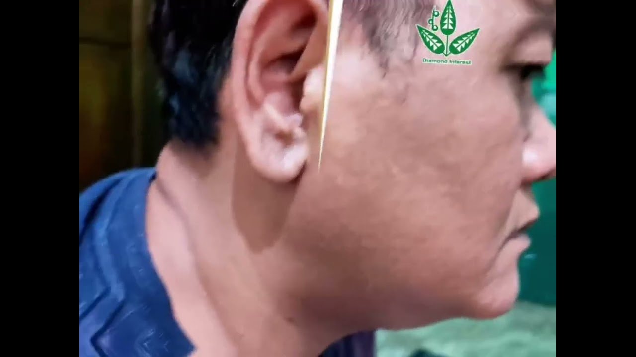 Testi Pangreh getahbening Jakarta